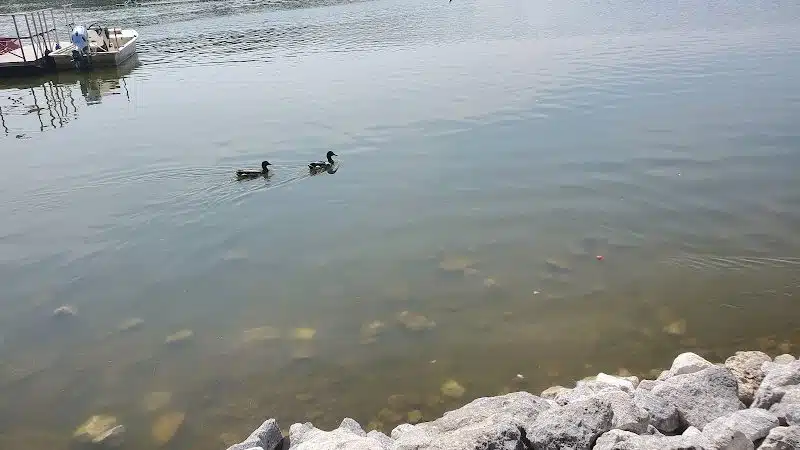 Stark Parks - Canton, OH