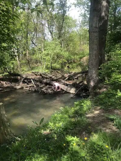 Stark Parks - Canton, OH
