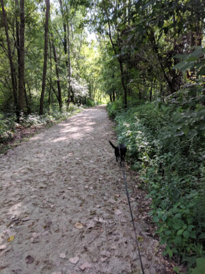 Stark Parks