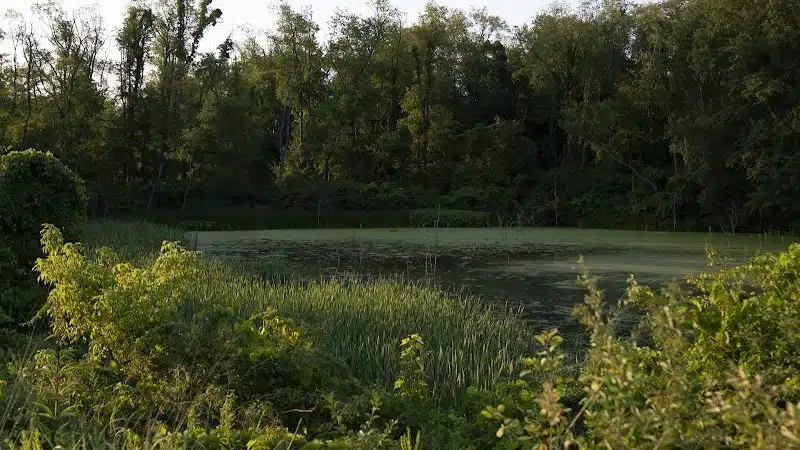 Stark Parks - Canton, OH