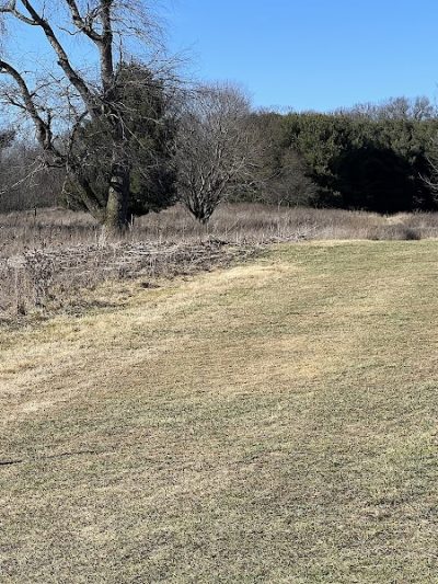 Tam O'Shanter Park - Canton, OH