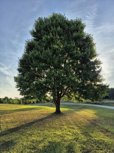 Tam O'Shanter Park - Canton, OH