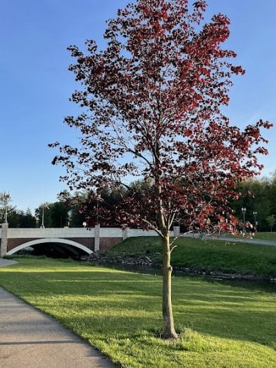 West Branch Trail - Canton, OH