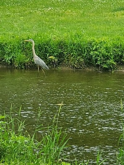 West Branch Trail - Canton, OH