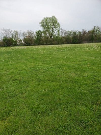 West Park - Canton, OH