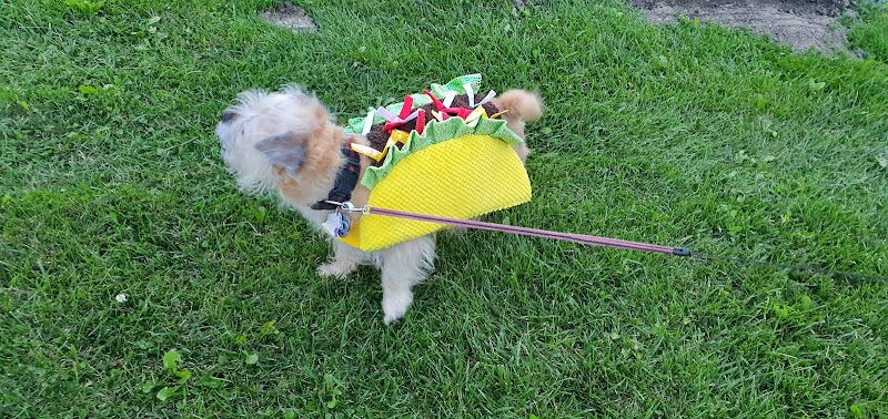 Canton Dog Park - Canton Township, MI