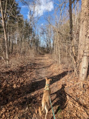 Ora E. Anderson Nature Trail - Carbon Hill, OH