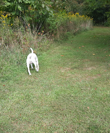 Carroll Community Park