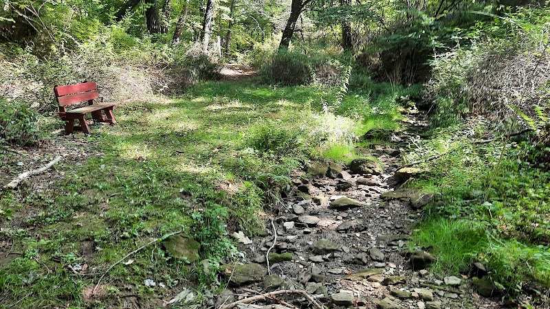 Carroll Community Park - Carrollton, OH