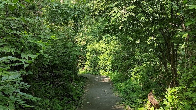 Castalia Quarry - Castalia, OH