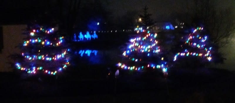 The Duck Pond - Castalia, OH