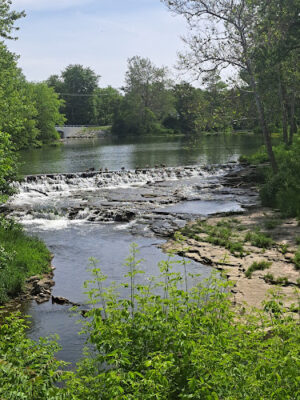 Cedarville Community Park