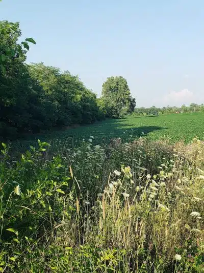 Massie Creek Soccer Park - Cedarville, OH