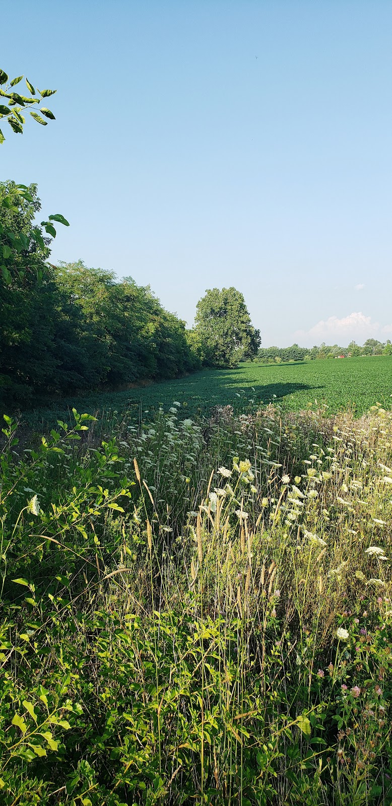 Massie Creek Soccer Park - Cedarville, OH