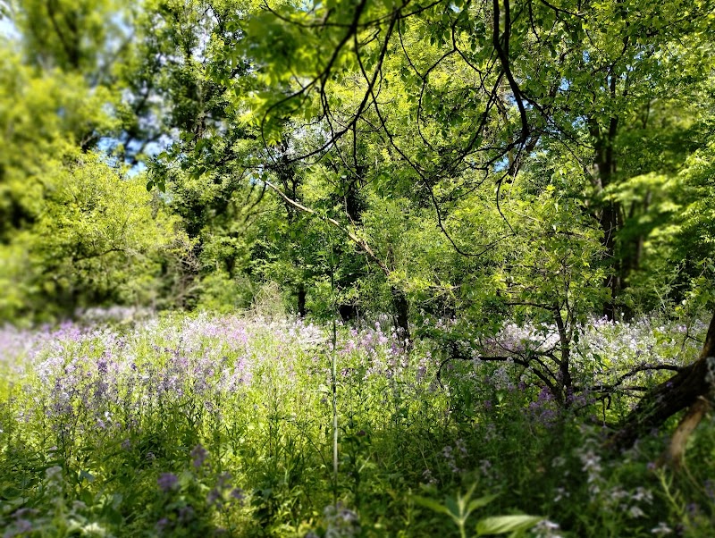 Peterson Park - Cedarville, OH