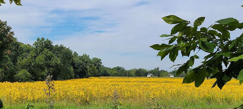 Newell Recreation Preserve, Licking County - Centerburg, OH