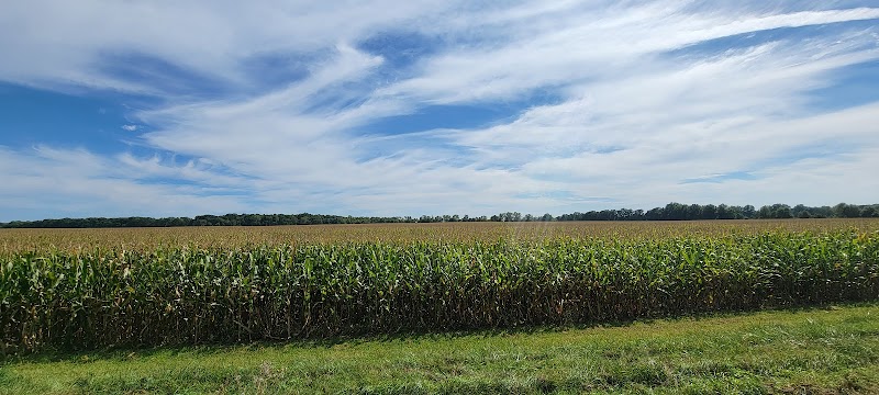 Newell Recreation Preserve, Licking County - Centerburg, OH
