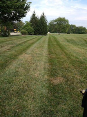 Centerville Grace Park
