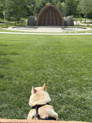 Stubbs Park