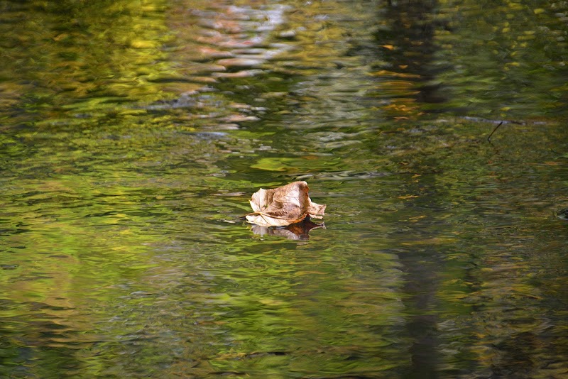 Beartown Lakes Reservation - Chagrin Falls, OH