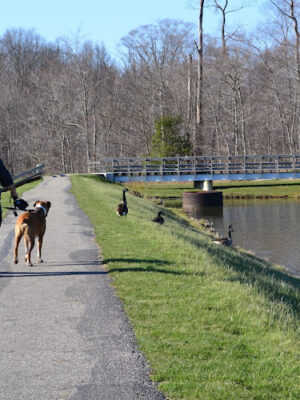 Beartown Lakes Reservation