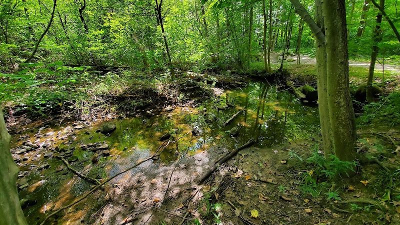 Beartown Lakes Reservation - Chagrin Falls, OH