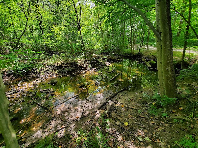 Beartown Lakes Reservation - Chagrin Falls, OH