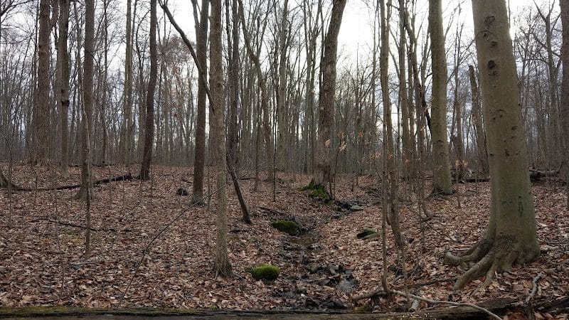 Beartown Lakes Reservation - Chagrin Falls, OH