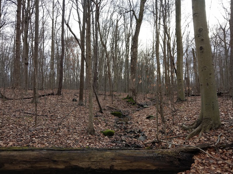 Beartown Lakes Reservation - Chagrin Falls, OH