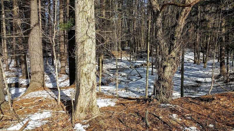 Beartown Lakes Reservation - Chagrin Falls, OH