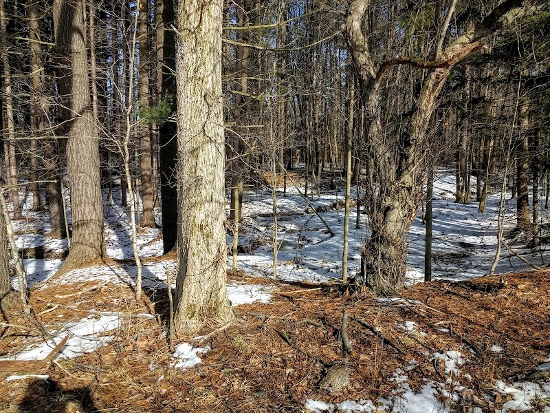 Beartown Lakes Reservation - Chagrin Falls, OH