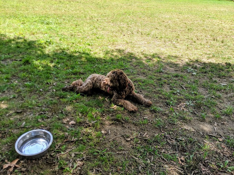 Centerville Mills Dog Park - Chagrin Falls, OH
