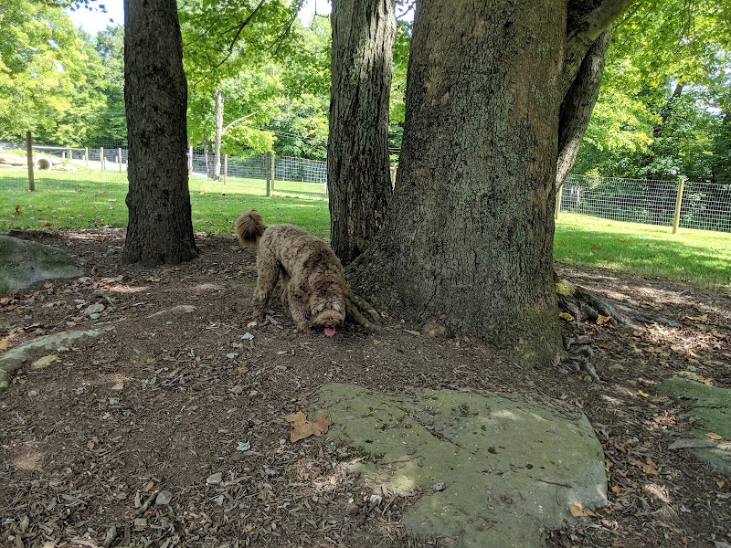 Centerville Mills Dog Park - Chagrin Falls, OH