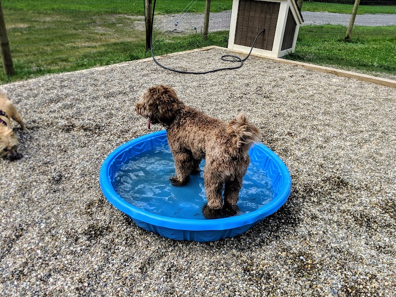 Centerville Mills Dog Park - Chagrin Falls, OH