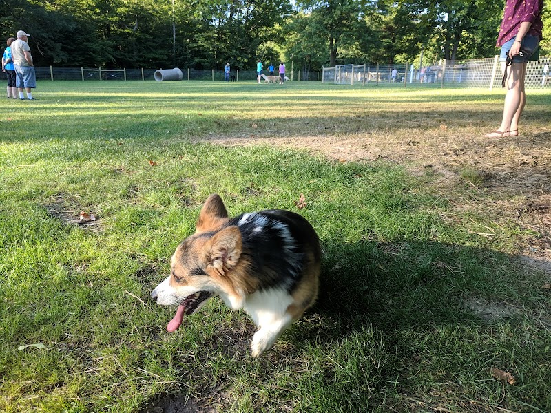Centerville Mills Dog Park - Chagrin Falls, OH
