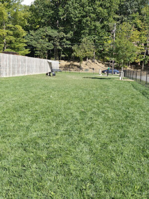 River Run Bark Park - Dog Park