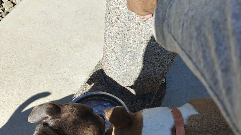 River Run Bark Park - Dog Park - Chagrin Falls, OH