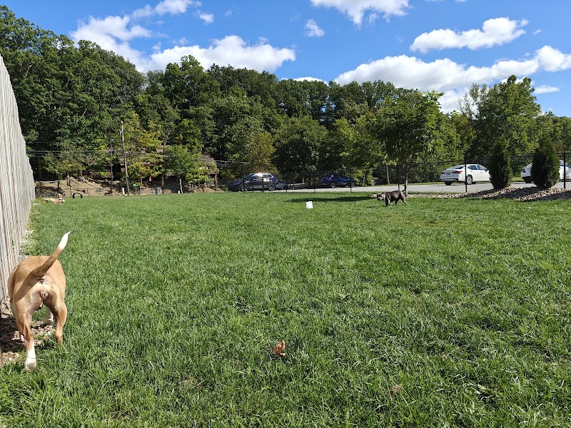 River Run Bark Park - Dog Park - Chagrin Falls, OH
