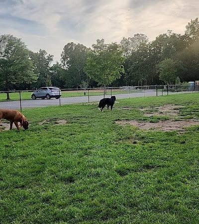 River Run Bark Park - Dog Park - Chagrin Falls, OH