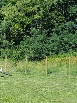 Timberlake Park