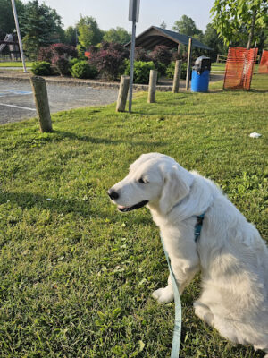 Chardon Township Park