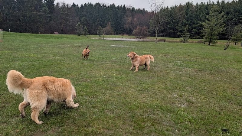 Chardon Township Park - Chardon, OH