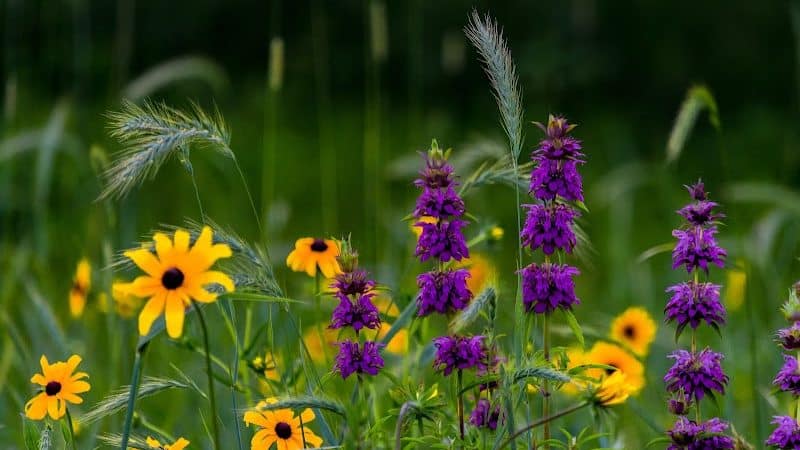 Geauga Park District - Chardon, OH