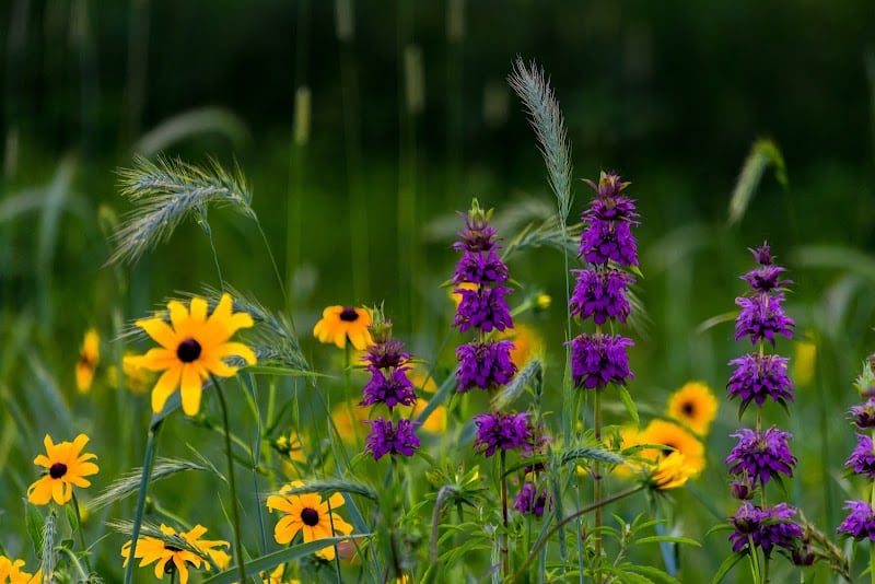Geauga Park District - Chardon, OH