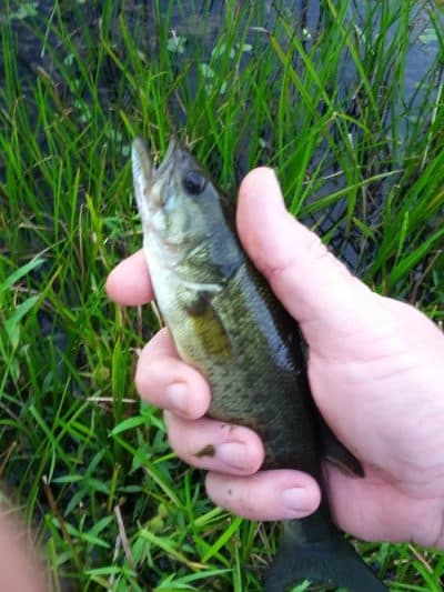 Geauga Park District - Chardon, OH