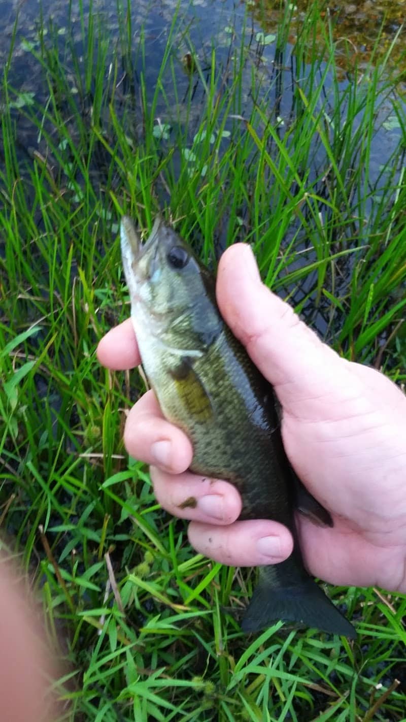 Geauga Park District - Chardon, OH