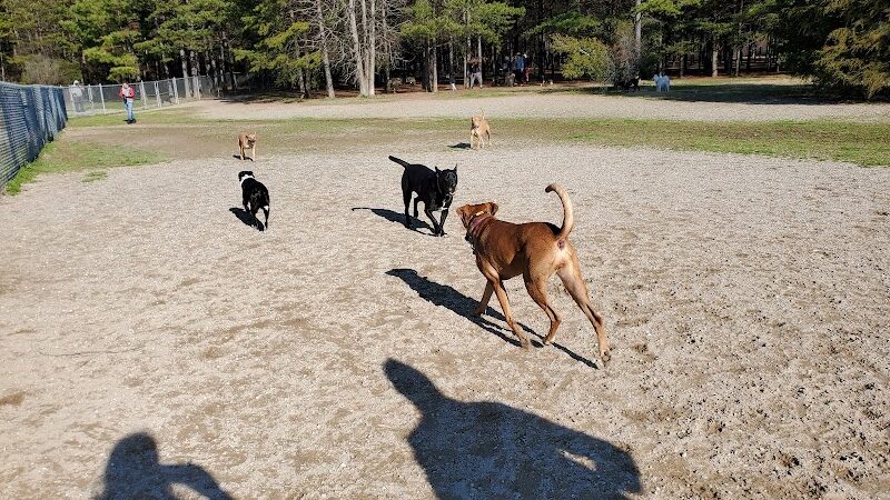Shuffletown Dog Park - Charlotte, NC