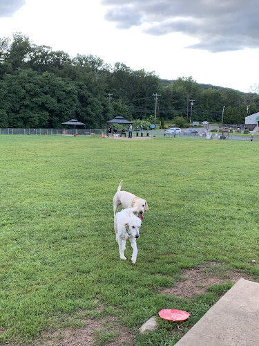Cheshire Dog Park