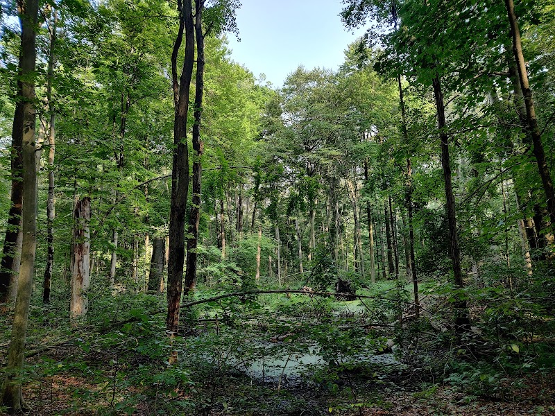 Sunnybrook Preserve - Chesterland, OH