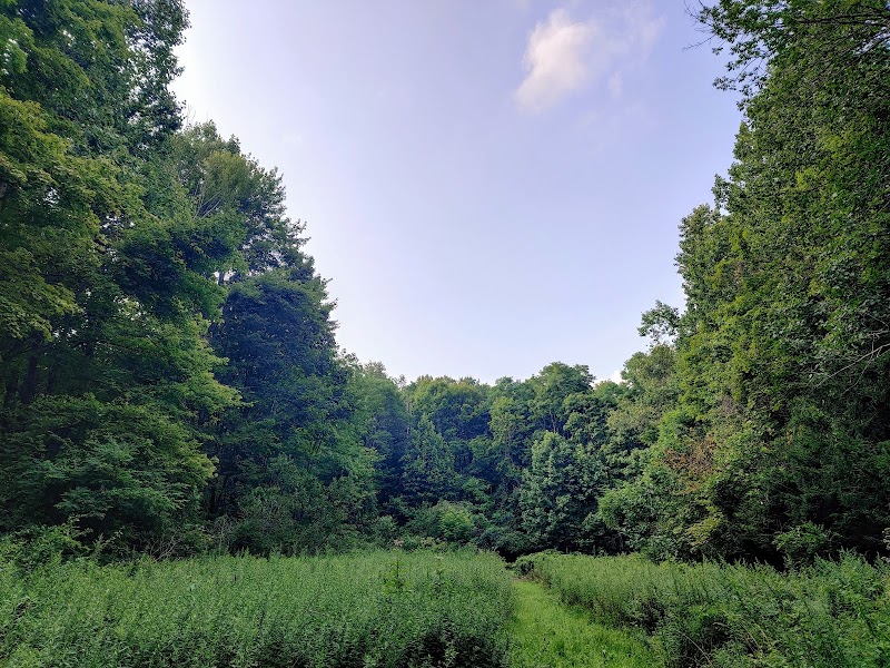 Sunnybrook Preserve - Chesterland, OH